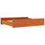 Devany Underbed Storage Drawers-19036571