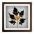 Walnut Framed