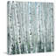 Parvez Taj - Wrapped Canvas Print-36705935