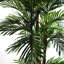 Artificial Palm Tree in Pot-88980149
