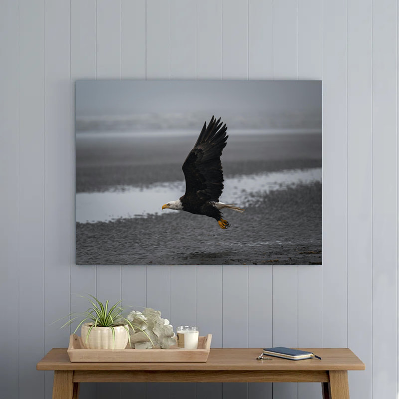 Eagle on a Beach, 12" H x 18" W