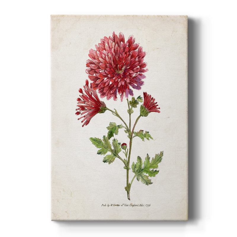 Botanical III -Gallery Wrapped Cavas