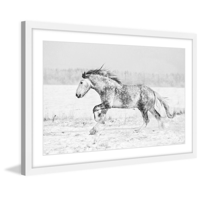 « galloping joy », reproduction de photo sur papier encadrée, H 16 po x l 24 po x P 1,5 po