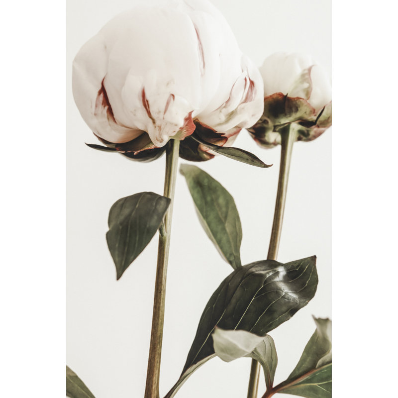 Wrapped Canvas Print, 50.8 cm H x 76.2 cm W