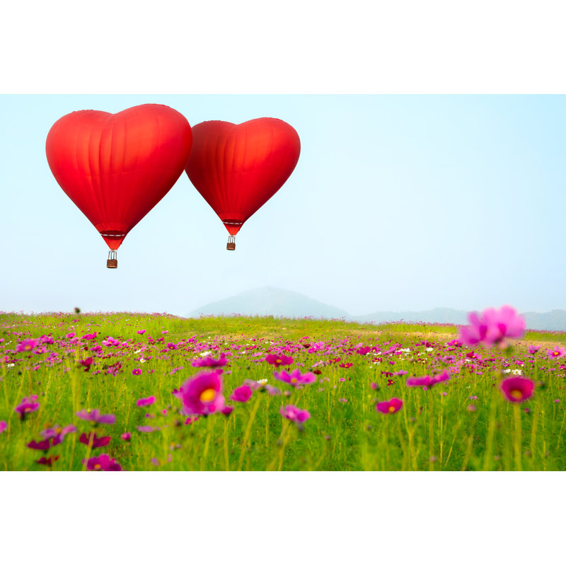 «Heart Shape Ballooning» par Pat138241 - Photographie sur toile tendue, H 24 po x l 36 po