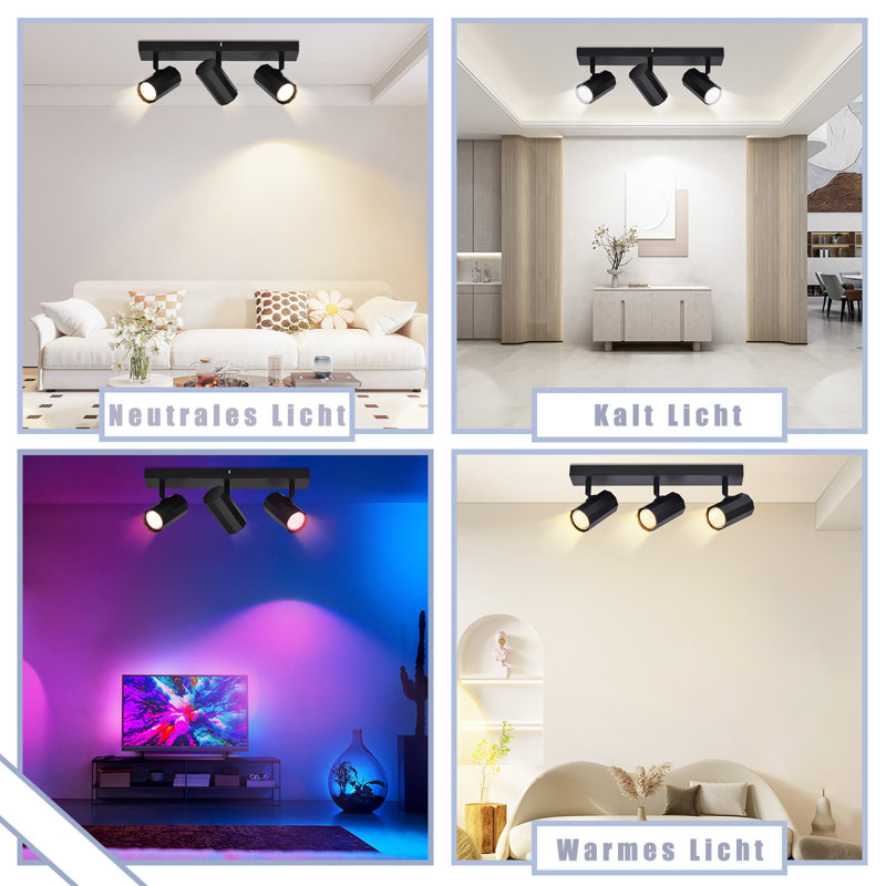 Maudine Spotlight