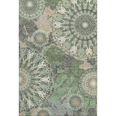 Premium Machine Washable Mayfield AMF2335 Paisley Rug