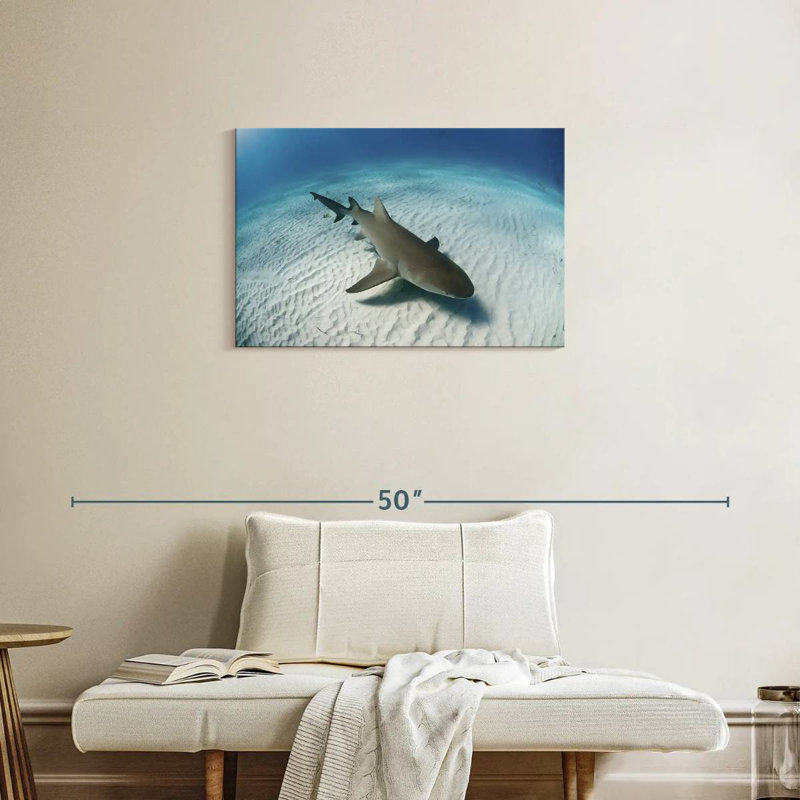 Brampt Lemon Shark Over The Seabed, 20" H x 30" W