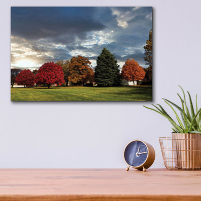  'Autumn Trees' by Dante Plata Acrylic Glass Wall Art, 16" x 12"