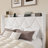 Modern Tufted Velvet Upholstered Bed With Charging Station & Storage Shelf ,No Box Spring Needed-52729267-52729268