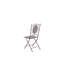 Delphos Folding Patio Dining Chair