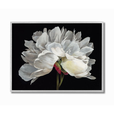 " Minimal White Flower Petal Detail Floral Design " Graphic Art Print
