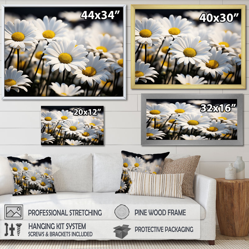 " Daisies Field Sunrise I ", Silver Single Picture Framed, 30" H x 40" W x 1.5" D
