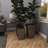 Pot Planter-1179965567