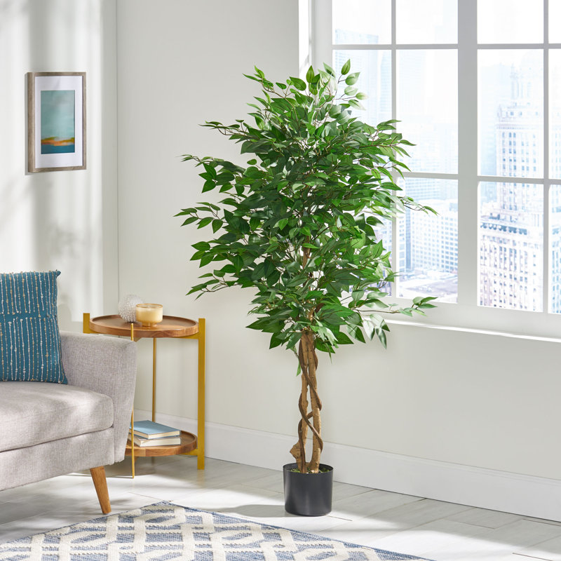 Faux ficus avec tronc torsadé et feuilles brillantes réalistes, H 59 po x l 31,5 po x P 31,5 po