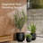 Arco 16"D Fiberstone Planter - White-734320579-725638470