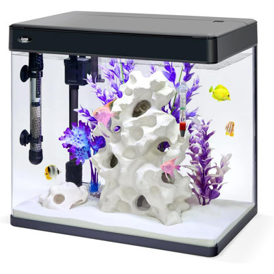 Aquarium Dereyon