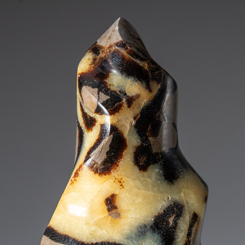 Polished Septarian Flame Freeform from Madagascar (1.5 Lbs)