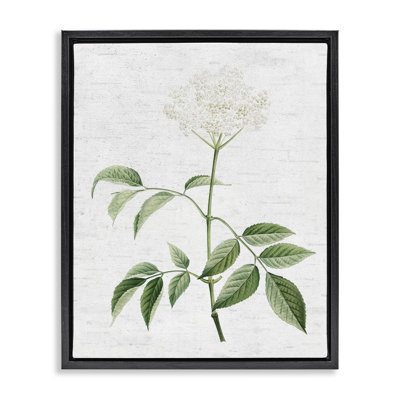 «Subtle Neutral Flower Brown Floater», art mural encadré par lettres et lignes