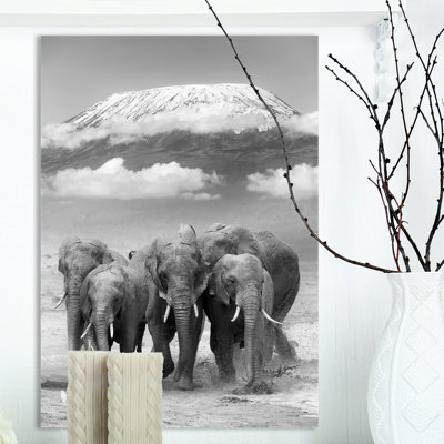 « éléphant on kilimanjaro mount », reproduction d’impression sur toile tendue