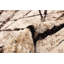 Tapis Artresha-179523402