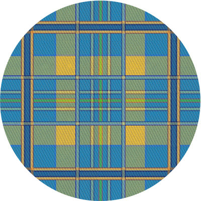 Plaid Indoor Rug