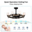 Ventilateur de plafond lustre Dia