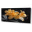 Rhododendron jaune et noir «Midnight Bloom I» - impression d'art mural rhododendron-918703529-948631948