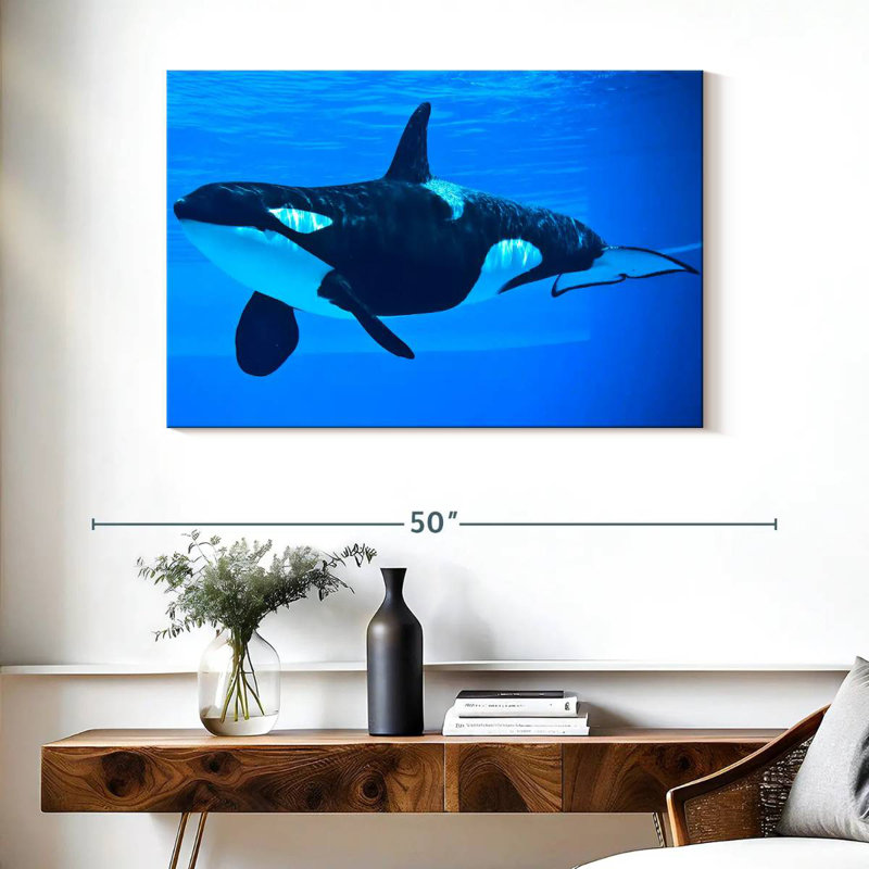 Brampt Friendly Killer Whale, 26" H x 39" W