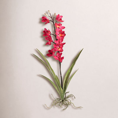 Cymbidium Orchid Stems