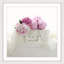 Sylvia Cook - Single Picture Frame Print-19701510