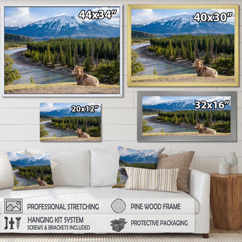 Faune sauvage, paysage de l'Alaska II, H 34 po x l 44 po x P 1,5 po, Cadre flottant doré