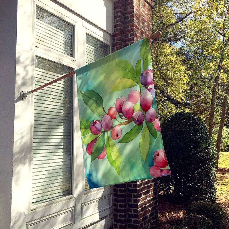 Double Sided 40'' H x 28'' W Polyester House Flag