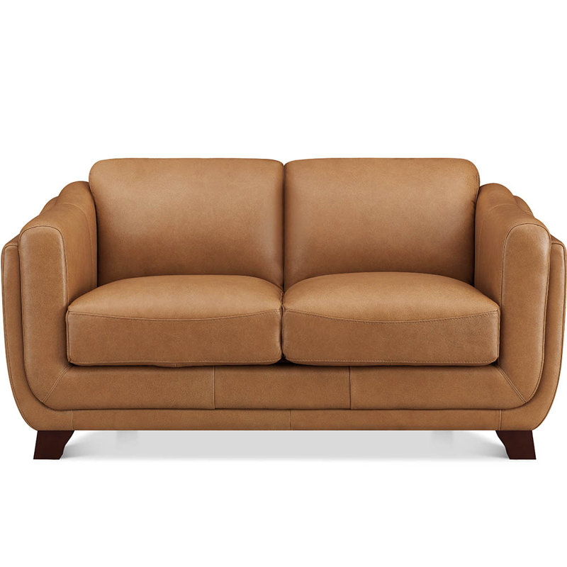 Nyx Top Grain Leather Loveseat