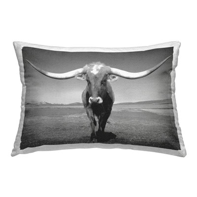 Longhorn Cow Portrait Outdoor Printed Pillow by Steve Toole