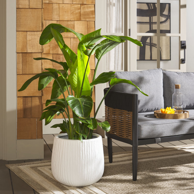 Psyllatos Pot Planter, White