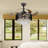 Daryle 42'' Ceiling Fan with LED Lights
