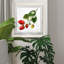 Strawberry Study II, reproduction d’art encadrée-243089460-239213689-239208538