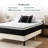 Wayfair Sleep 8" Plush Pillow Top Hybrid Mattress-66575447