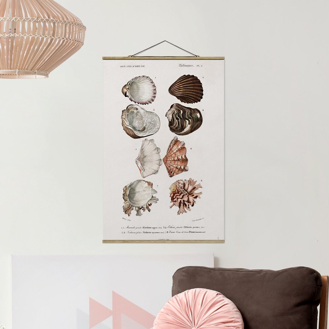 Stoffbild Mit Posterleisten - Vintage Lehrtafel Acht Muscheln Rose Creme - Hochformat 3:2