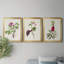 «Pretty Pink Botanicals V», reproduction encadrée de qualité supérieure - prête à être accrochée-230973841-230973843-230992620