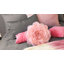 Simulation Rose Flower Throw Pillow Decorative Round Floral Accent Pillow Cover & Insert-1460310684-1460310675
