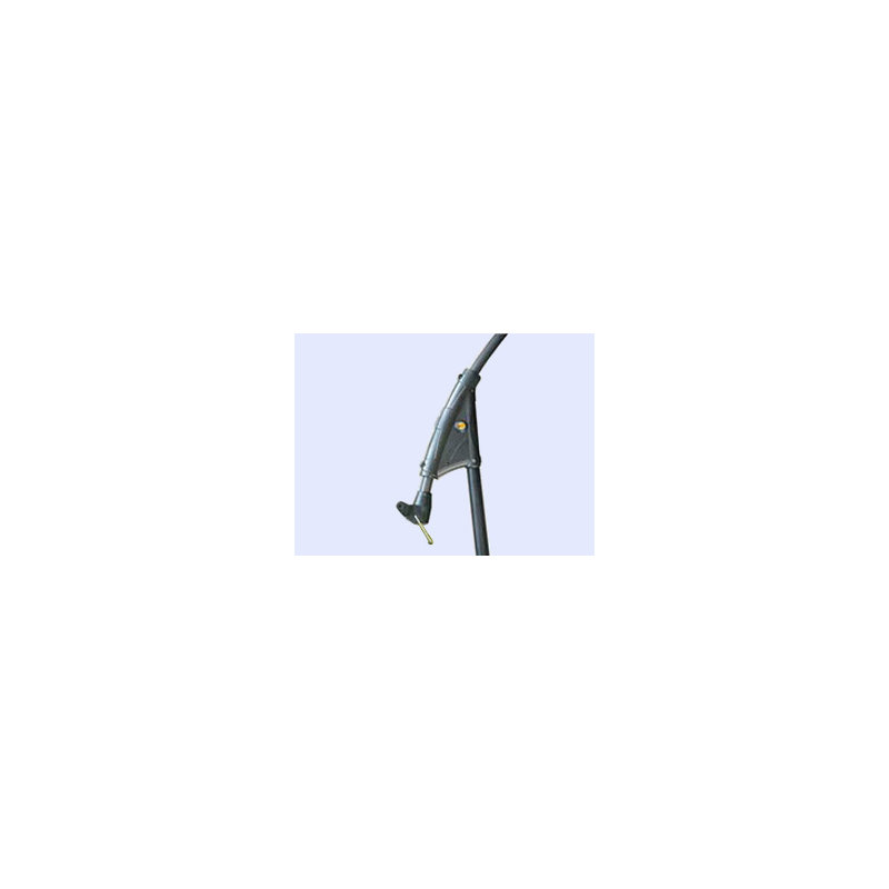 Parasol