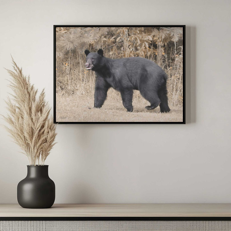 «Nosy Bear» par Lori Deiter, reproduction d'art, L 32 po x H 24 po, Noir, Toile avec cadre