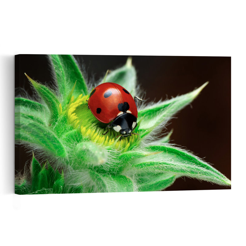 Red Ladybug On Green Vibrant Abstract Ladybug Flower Nature Wall Art Print by Mustafa Ozturk - Print, 40.64cm H x 60.96cm W