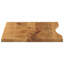 Weissport Solid Wood Table Top-26480663-26480659