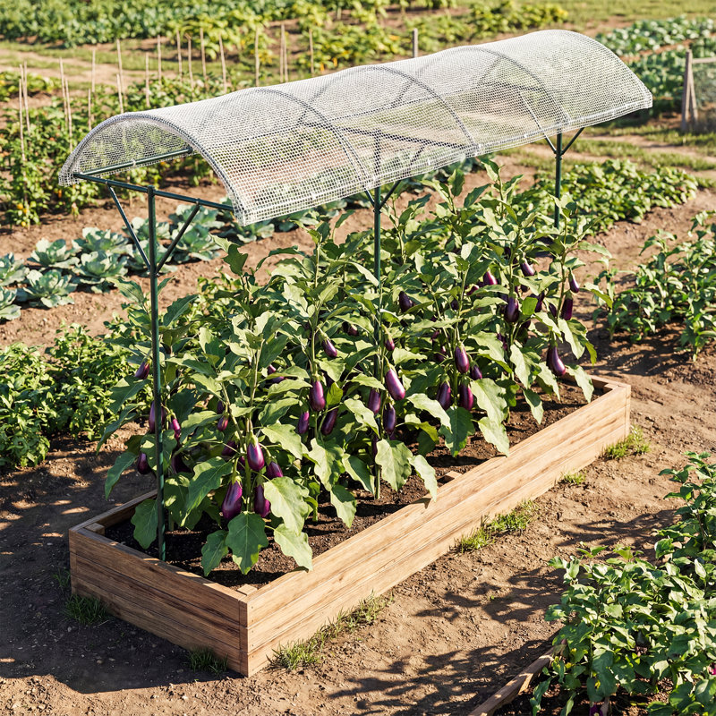 246cm H x 197cm W Metal Arched Trellis