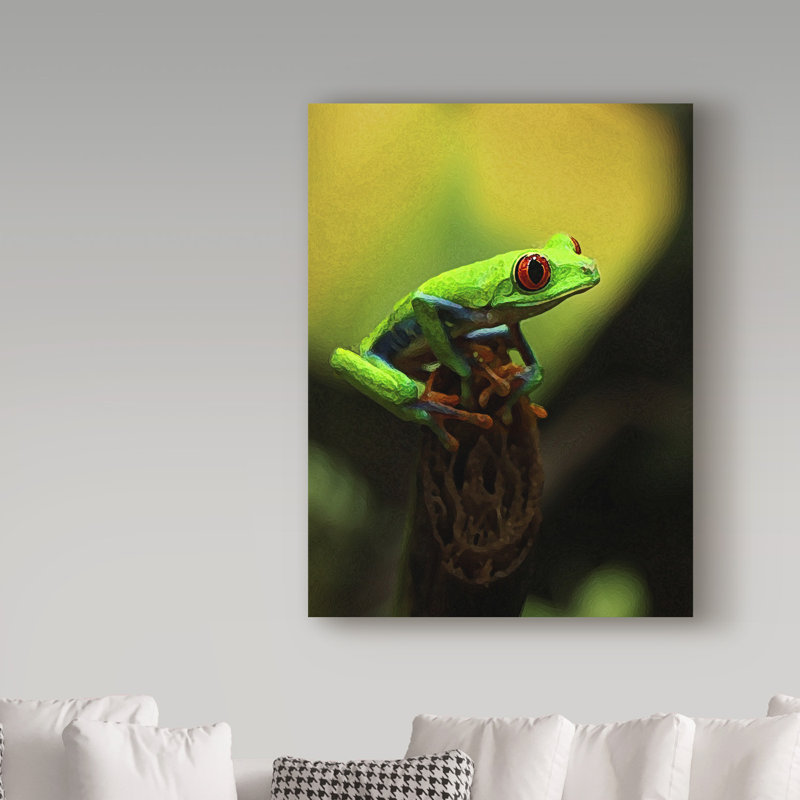 Colorful Tree Frog Canvas Print with Black Frame