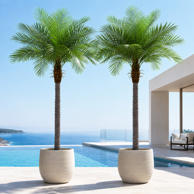  8FT Premium Faux Coconut Palm Tree, Vivid Tropical Palm Plant, Perfect for Home Office Yard Poolside Deco（Set of 2）