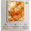 Sunlit Bloom II Canvas Floral Abstracts par -195448356-195448367